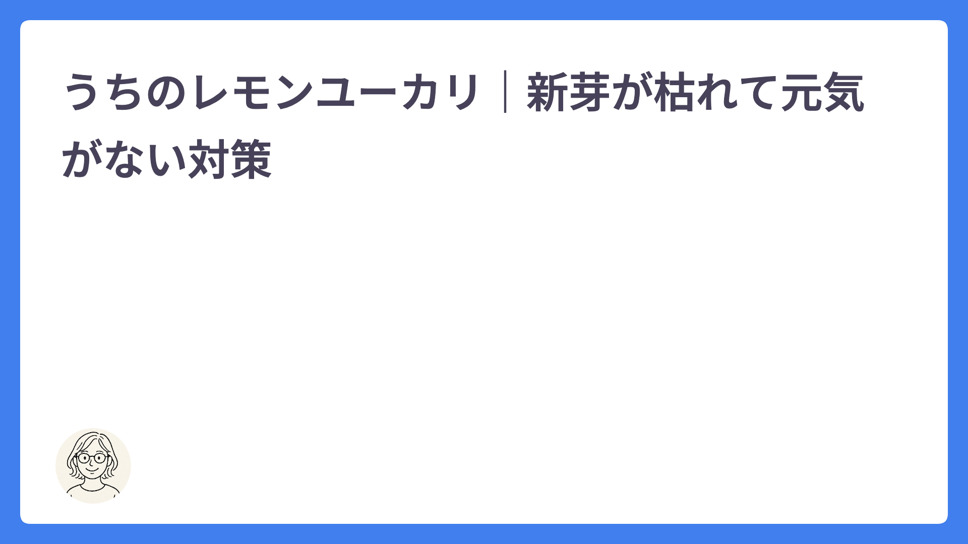 うちのレモンユーカリ｜新芽が枯れて元気がない時の対策